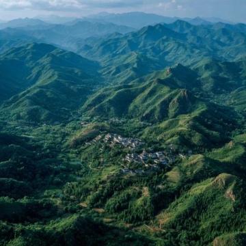 西雙版納旅游攻略:熱帶雨林與傣族文化的完美結(jié)合