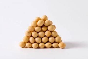 納豆的基本常識有哪些？